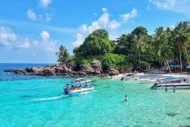 Du lịch biển đảo Việt Nam thu hút nhiều du khách 