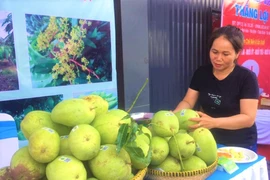 Xoài Việt Nam bán sang Mỹ đạt 2,8 triệu USD
