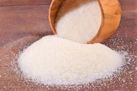 Đường cát thiếu trầm trọng, giá đang tăng mạnh