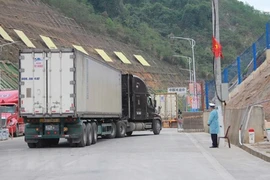 Trung Quốc tạm dừng xuất nhập khẩu qua cửa khẩu Cốc Nam