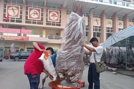 Giá cước chở hoa đào từ Hải Dương về TP.HCM tăng gấp đôi
