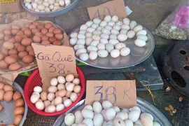 Đề nghị tăng giá trứng gà, vịt trong diện bình ổn