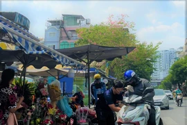 Ngày tình nhân: Hoa hồng 'nóng' Đà Lạt so kè với hoa hồng 'lạnh' Trung Quốc 
