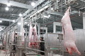 TP.HCM có nhà máy giết mổ heo hiện đại, thương lái vẫn 'chạy' về tỉnh