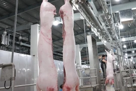 Heo hơi sẽ thiết lập mặt bằng giá mới?