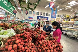 Người tiêu dùng chọn mua vải thiều tại siêu thị. 