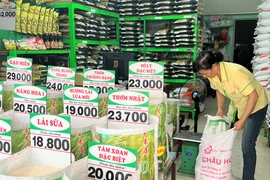 Các cửa hàng bán lẻ vắng khách mua gạo. ẢNH: TÚ UYÊN