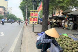 Vì sao cam sành Vĩnh Long tiếp tục rớt giá?