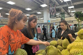 Truy xuất nguồn gốc sầu riêng: Có thể áp dụng công nghệ của Thái Lan?