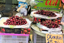 Vì sao cherry Chile giá rẻ ngập chợ Việt Nam?