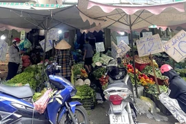 Doanh thu bán lẻ của TP.HCM đạt hơn 50.000 tỉ đồng mỗi tháng