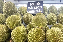 Lào, Indonesia tăng tốc trồng sầu riêng, xuất khẩu của Việt Nam gặp thách thức 