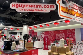 Vì sao Tập đoàn Central Retail bán lại siêu thị điện máy Nguyễn Kim?