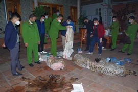 Chủ tịch xã giết hổ nấu cao tại nhà lãnh án
