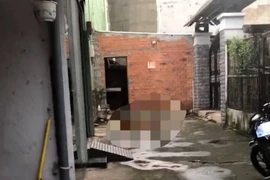 Người dân phát hiện vật nghi đầu người và phần thi thể cách đó không xa ở quận 7