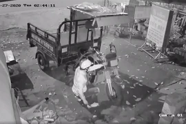 Kẻ trộm xe ba gác máy đi mua trái cây thì bị công an phát hiện