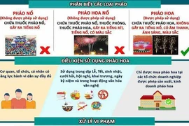 Vi phạm về quản lý, sử dụng pháo có thể bị phạt tù lên đến 20 năm