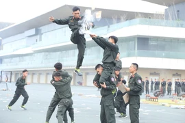 Cảnh sát cơ động phô diễn sức mạnh võ thuật, khí công
