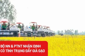 Bộ trưởng NN&PTNT: Giá lúa gạo bị đẩy lên bất hợp lý do thiếu liên kết