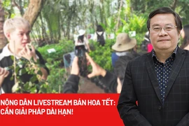 Nông dân miền Tây livestream bán hoa Tết: Cần giải pháp dài hạn!