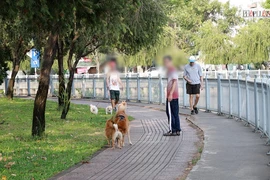 Video: Người dân ngán ngẩm chó thả rông trong công viên, bờ kè TP.HCM