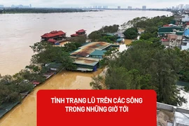Tình trạng lũ trên các sông ra sao trong những giờ tới?