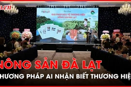 Lâm Đồng: Đầu tư mạnh vào trí tuệ nhân tạo để bảo vệ thương hiệu nông sản Đà Lạt