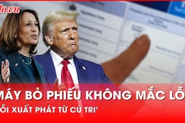 Bác bỏ cáo buộc gian lận bầu cử Tổng thống Mỹ 2024, khẳng định lỗi xuất phát từ cử tri