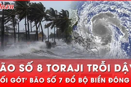 Nối gót ngay sau bão số 7, bão số 8 Toraji lại đổ bộ Biển Đông 