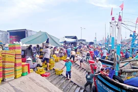 Sẽ xây dựng 14 cảng cá, khu neo đậu ở Trường Sa, Hoàng Sa