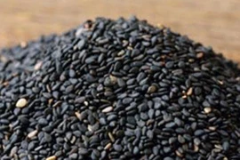 Thực hư việc mè đen bị nhuộm bằng lõi pin ở Phú Yên