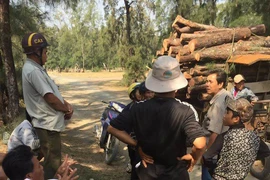 Tuyên dương những người ngăn HTX phá rừng phòng hộ