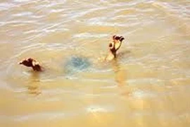Tập bơi cho con, hai cha con chết đuối