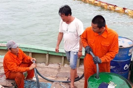 Bắt đầu hút dầu để trục vớt tám tàu chìm ở Quy Nhơn