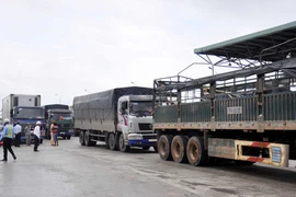 Trạm BOT Ninh An ùn tắc vì lái xe dùng tiền lẻ