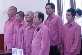 Điều tra bổ sung vụ phá rừng lớn nhất Bình Định