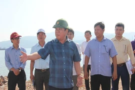 Bình Định: Doanh nghiệp lấp đầm trái phép