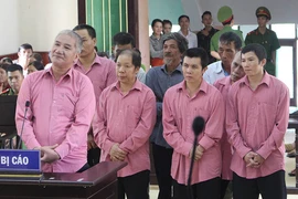 Tuyên án vụ phá rừng lớn nhất tỉnh Bình Định