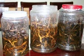 (Hình minh họa)