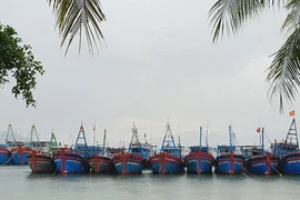 Phú Yên gọi điện đến từng nhà để sơ tán dân tránh bão số 6