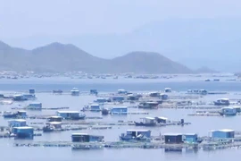 Mưa to, gió giật mạnh ở Vạn Ninh