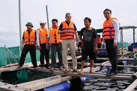 Phú Yên buộc toàn bộ người nuôi thủy sản vào bờ tránh bão