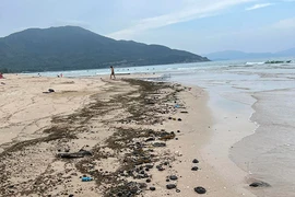 Khánh Hòa: Dầu vón cục dạt vào bờ biển, chưa rõ nguyên nhân