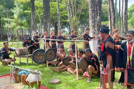 Quy hoạch, xây dựng Gia Lai thành điểm đến di sản