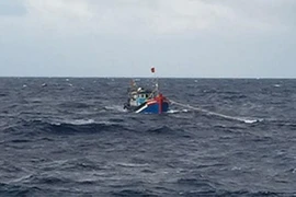 Đề nghị điều tra đường dây môi giới đánh cá trái phép ở nước ngoài