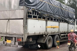 Xe tải dừng đột ngột rồi lùi dưới chân đèo Cù Mông khiến 3 mẹ con tử vong