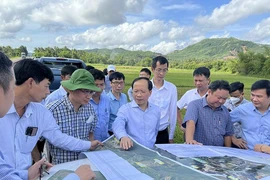 Giá bồi thường cây trồng khi thu hồi đất làm cao tốc Bắc - Nam qua Phú Yên