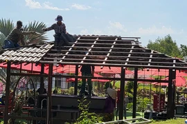 Buộc dừng hoạt động, tháo dỡ các điểm kinh doanh du lịch tự phát