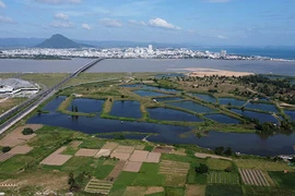 Phú Yên thu hồi dự án khu đô thị không qua đấu giá