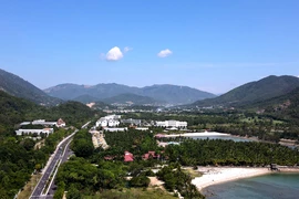 Đề nghị xử lý công ty đấu giá 'đất ở không hình thành đơn vị ở'